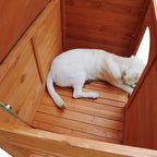 ROCKEVER Dog Houses Outdoor Insulated, Weatherproof Dog Houses Outside with Door Cute Wooden