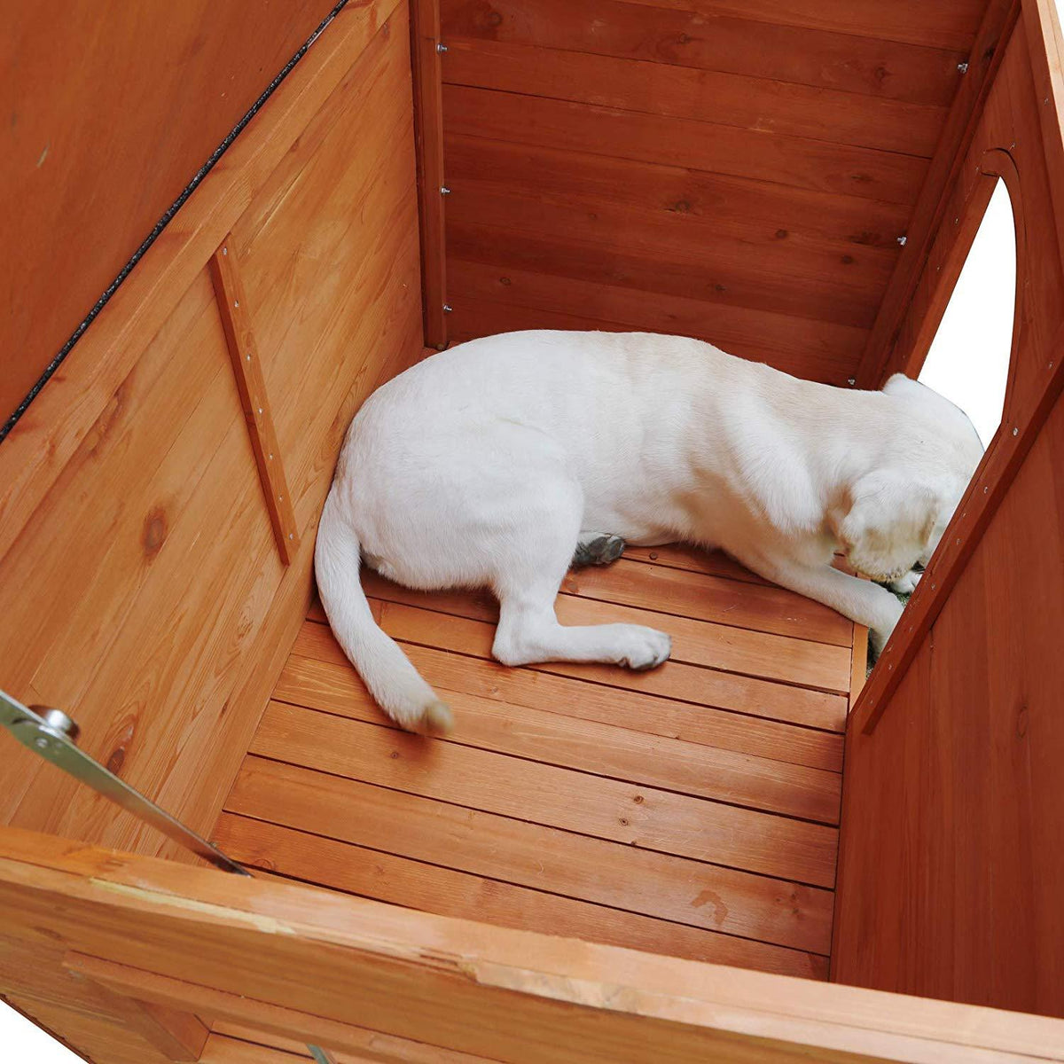 ROCKEVER Dog Houses Outdoor Insulated, Weatherproof Dog Houses Outside with Door Cute Wooden