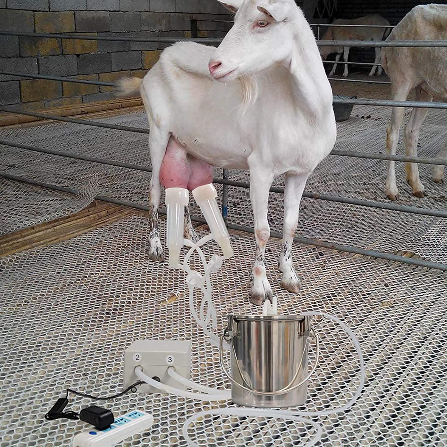huidazhou cow milking machine electric,pulsation vacuum pump cow milker, automatic portable livestock milking equipment, stainless steel milker livestock household domestic farm milking device,14l