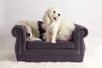 Tov Furniture TOV-P2037-N Yorkshire Collection  Button Tufted Pet Bed with Velvet Cushion