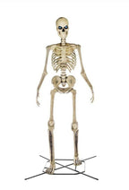 Home Accents Holiday 12 ft Giant-Sized Skeleton