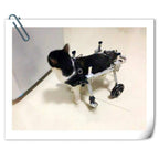 CHZHUTUI Pet Dog Scooter Adjustable Aluminum Chair Disabled Dog Wheelchair 4 Wheel Hind Limb Assisted Rehabilitation Exercise Cart Stepper
