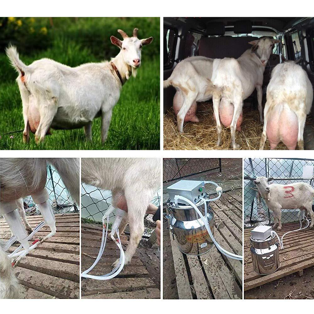 electric milking machine,24w electric pulsating pump milker,14l automatic stainless steel livestock milking equipment,portable impulse milking supplies vacuum pump milker for cows goats sheep