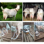 electric milking machine,24w electric pulsating pump milker,14l automatic stainless steel livestock milking equipment,portable impulse milking supplies vacuum pump milker for cows goats sheep