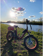 Folding Electric Bike for Adults, Fat Tire 20" Bike Electric, 750W Motor 48V 13AH Removable Battery Electric Bicycles, Beach Snow Hunting High Speed 7-Speed Gear E-Bikes for Women Men