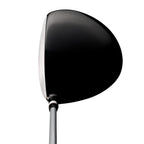 Callaway Women's Strata '19 Complete 11-Piece Graphite Golf Club Set with Bag, Right Handed