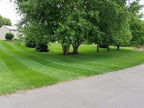 Lawn Striper Roller Kit for FasTrak with 60" mower deck year 2017