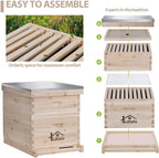 lafuria 2 layers 20 frames langstroth honey bee hive box wooden with metal roof for beekeeping