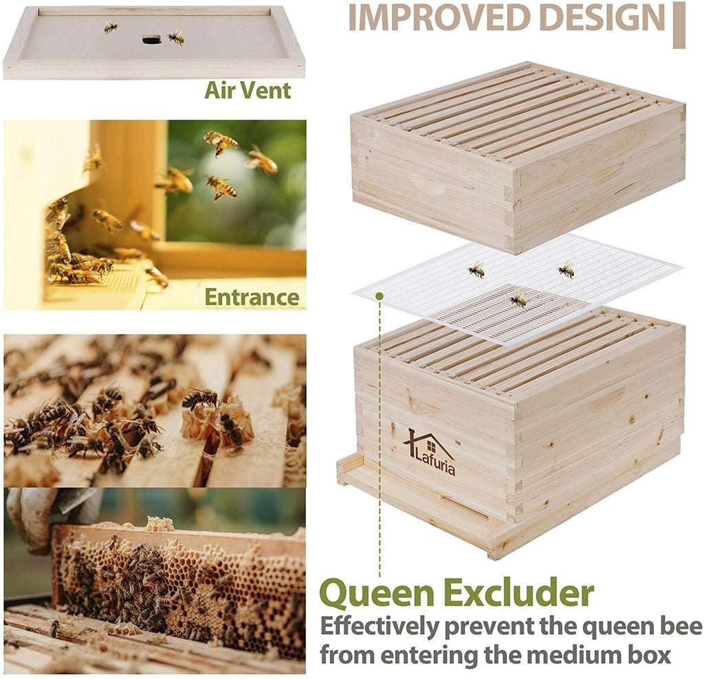 lafuria 2 layers 20 frames langstroth honey bee hive box wooden with metal roof for beekeeping