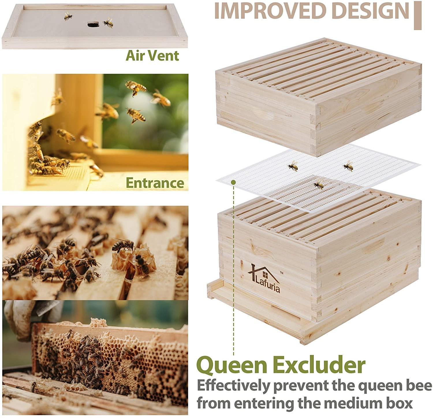 lafuria 2 layers 20 frames langstroth honey bee hive box wooden with metal roof for beekeeping