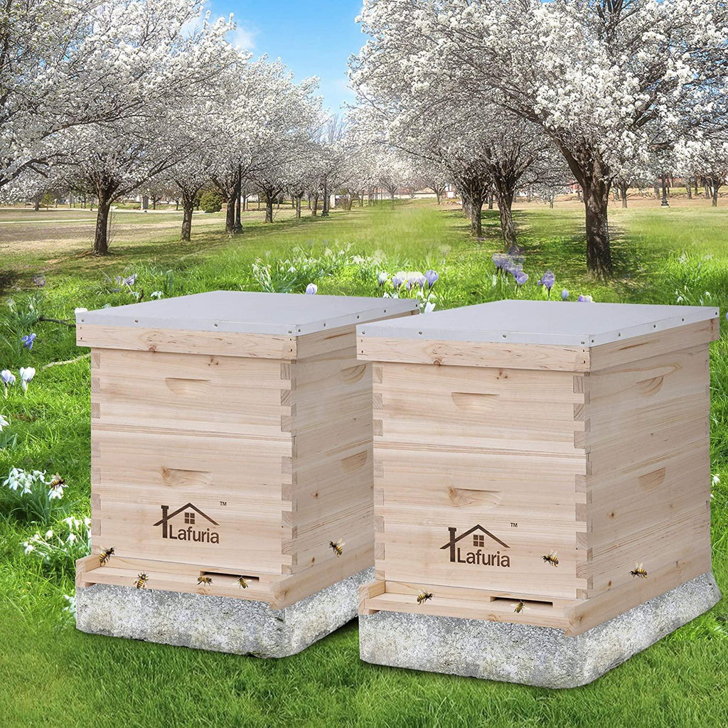 lafuria 2 layers 20 frames langstroth honey bee hive box wooden with metal roof for beekeeping