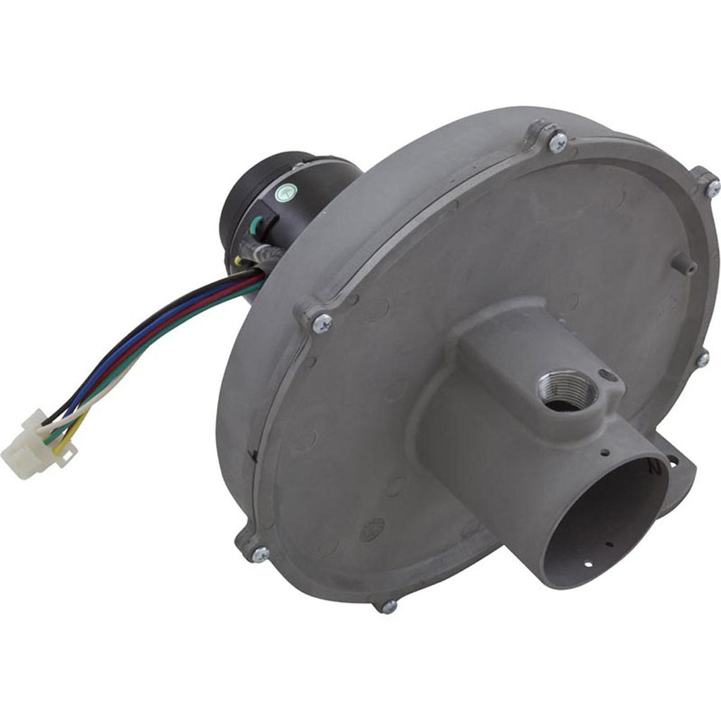 PENTAIR POOL PRODUCTS Blower Kit, Pentair MasterTemp 300, Nat.
