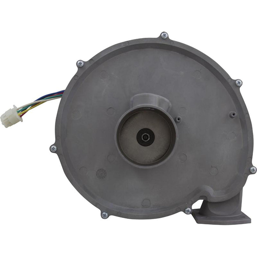 PENTAIR POOL PRODUCTS Blower Kit, Pentair MasterTemp 300, Nat.