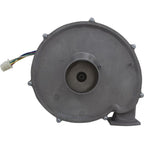 PENTAIR POOL PRODUCTS Blower Kit, Pentair MasterTemp 300, Nat.