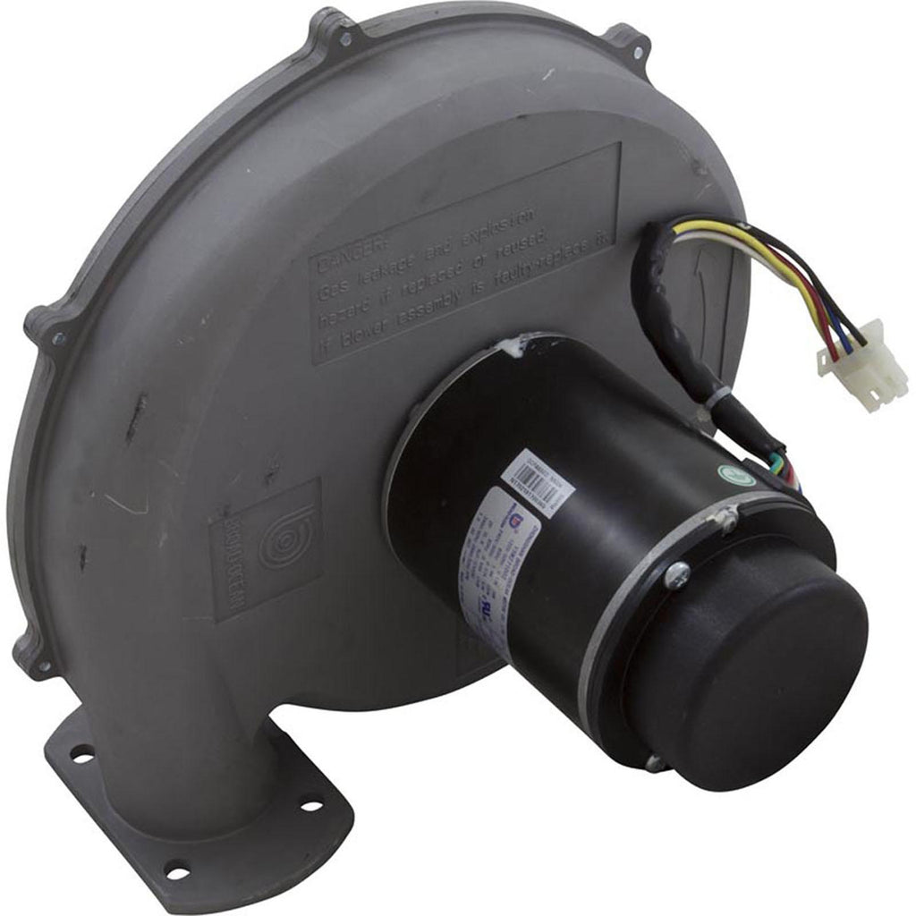 PENTAIR POOL PRODUCTS Blower Kit, Pentair MasterTemp 300, Nat.