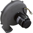 PENTAIR POOL PRODUCTS Blower Kit, Pentair MasterTemp 300, Nat.