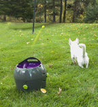 PetSafe Automatic Ball Launcher Dog Toy