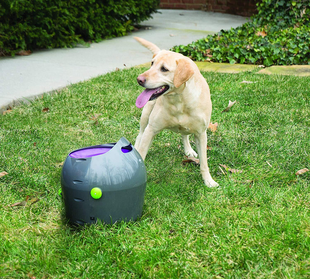 PetSafe Automatic Ball Launcher Dog Toy