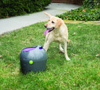PetSafe Automatic Ball Launcher Dog Toy