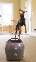 PetSafe Automatic Ball Launcher Dog Toy