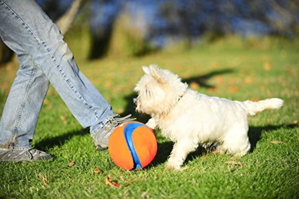 Chuckit! Kick Fetch Toy Ball for Dogs - 5 Pack