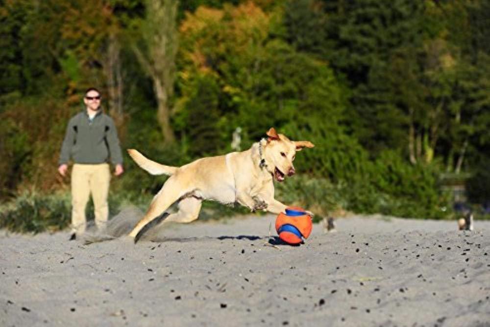 Chuckit! Kick Fetch Toy Ball for Dogs - 5 Pack