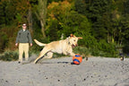 Chuckit! Kick Fetch Toy Ball for Dogs - 5 Pack