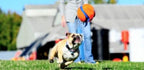 Chuckit! Kick Fetch Toy Ball for Dogs - 5 Pack