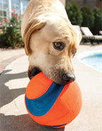 Chuckit! Kick Fetch Toy Ball for Dogs - 5 Pack