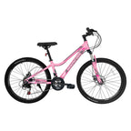 24" Mountain Bike 21 Speed, Suspension Mountain Bicycle, Dual Disc Brake City Bikes, Women's Style