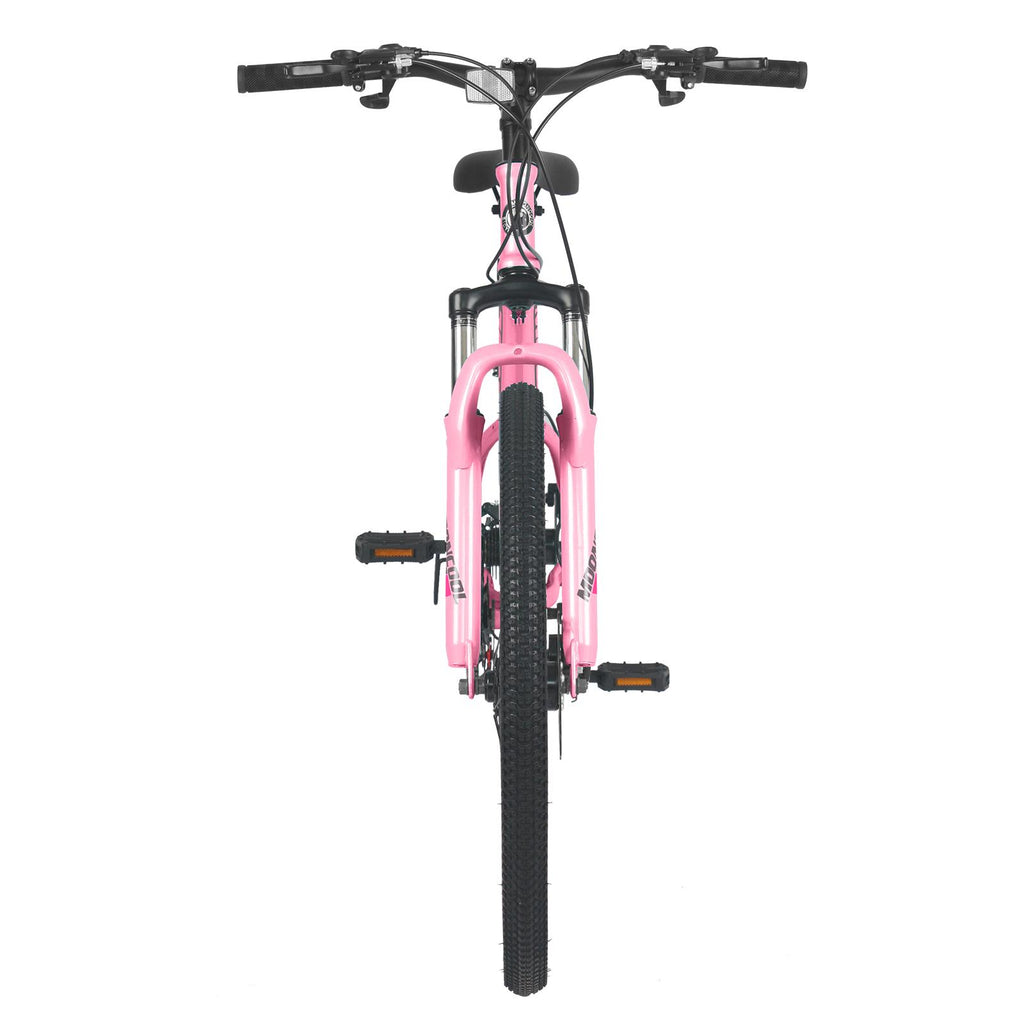 24" Mountain Bike 21 Speed, Suspension Mountain Bicycle, Dual Disc Brake City Bikes, Women's Style