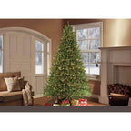 9 ft.Pre-Lit Fraser Fir Artificial Christmas Tree with 1000 Constant Clear Lights