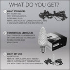 OptiCore 49 ft. 50-Light LED Green and Cool White Faceted C9 String Light Set