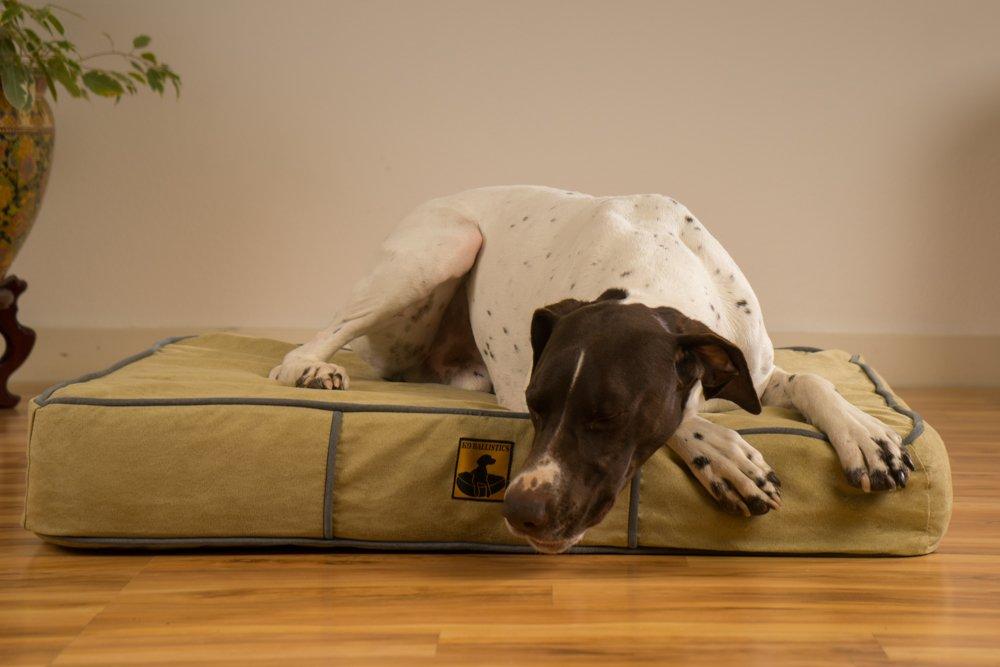 K9 Ballistics Orthopedic Memory Foam Dog Bed with Microfiber Cover and Waterproof Liner