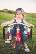 Schwinn Roadster Tricycle for Toddlers and Kids