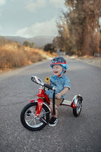 Schwinn Roadster Tricycle for Toddlers and Kids