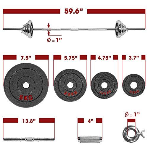 STOZM Dumbbell Set With Case, 110Lbs Versatile Pain Coated Set With Bar Options (Cqgh Dumbbell Set/Paint Coated 50Kg)