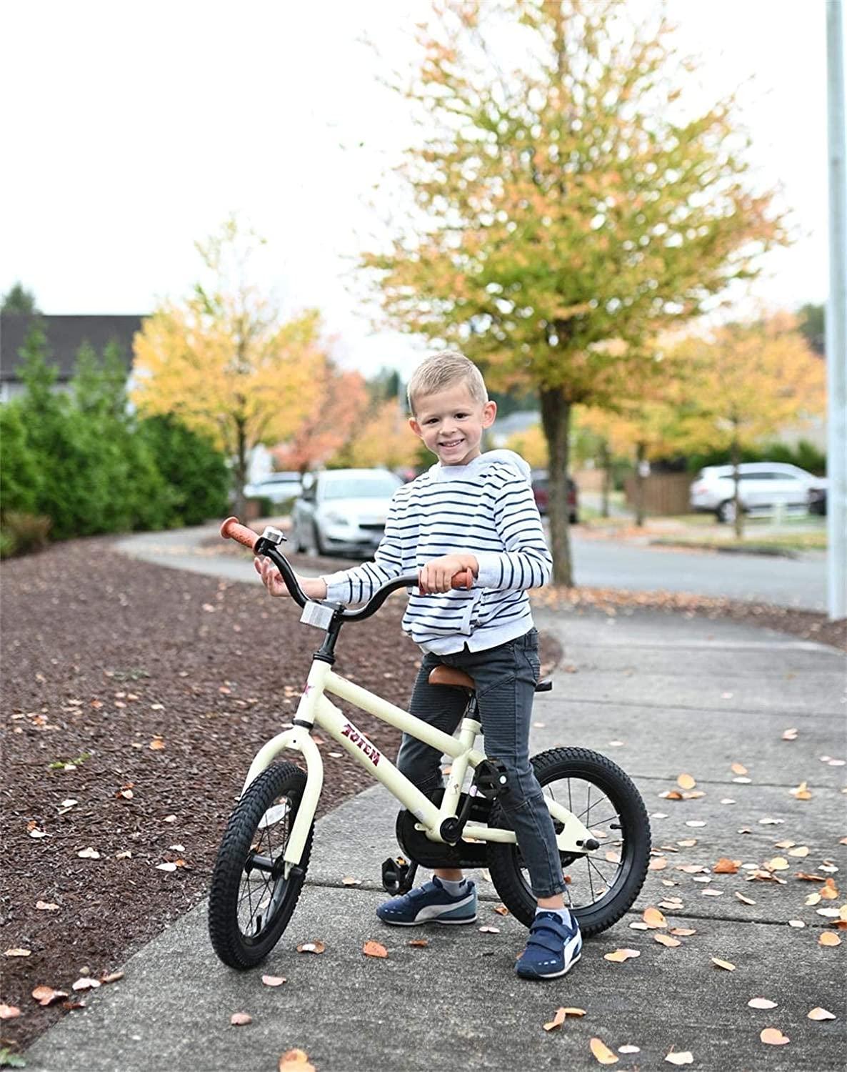 JOYSTAR Totem Kids Bike for 2-9 Years Old Boys Girls BMX Style Bicycles 12 14 16 18 Inch with Training Wheels, 18 Inch with Kickstand and Handbrake Children Bikes, Blue Ivory Pink Green Silver