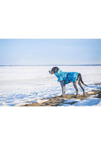 Rukka Pets Frosty Winter Waterproof Thermal Adventure Dog Jacket Turquoise