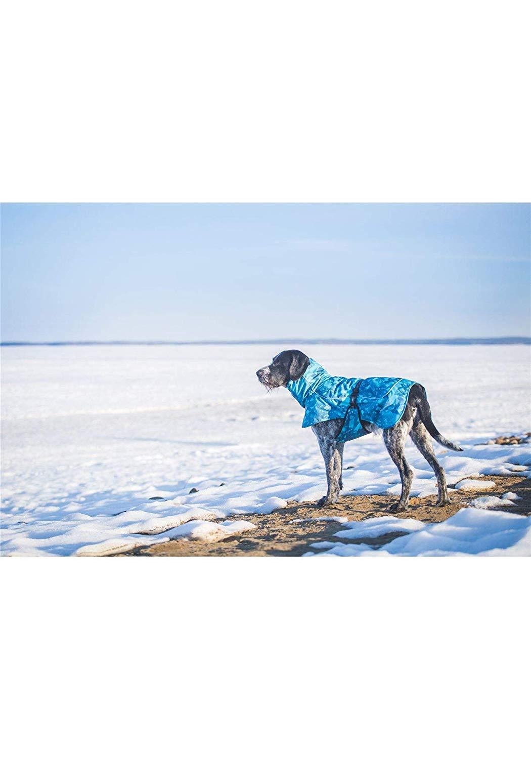 Rukka Pets Frosty Winter Waterproof Thermal Adventure Dog Jacket Turquoise