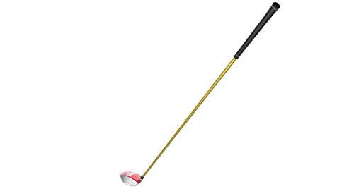 Vixa V12 Fairway (right, Graphite Shaft with  Steel Clubface, Ladies, 14.5)