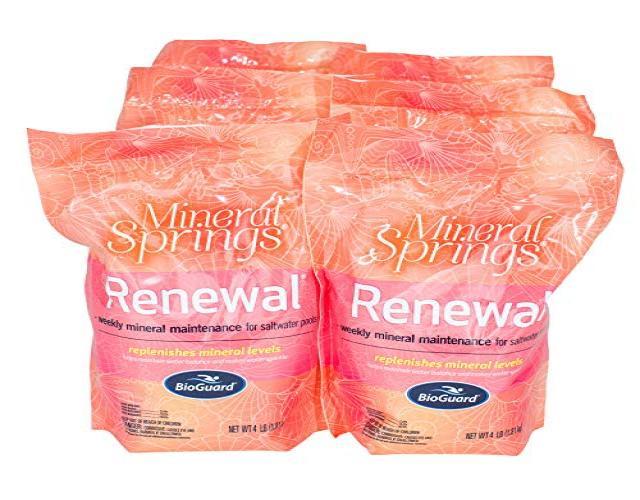 BioGuard Mineral Springs Renewal (4 lb) - Case of 6