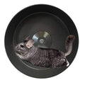 Exotic Nutrition 15" Chin-Sprint : All-Metal Durable, Silent, Fast Exercise Wheel - for Chinchillas, Prairie Dogs, Rats, Degus, Hedges, Opossums &amp; Other Small Pets