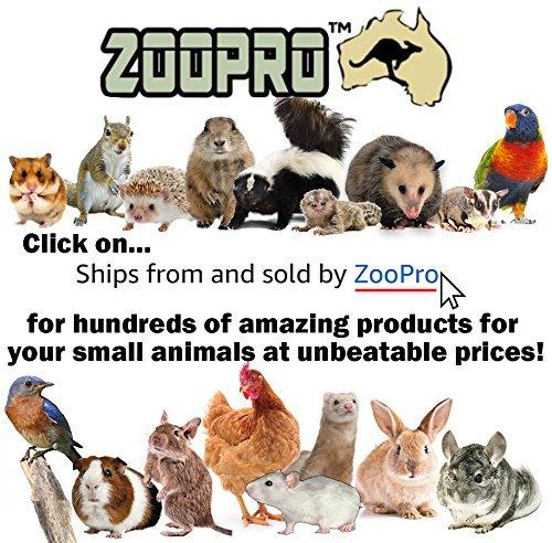 Exotic Nutrition 15" Chin-Sprint : All-Metal Durable, Silent, Fast Exercise Wheel - for Chinchillas, Prairie Dogs, Rats, Degus, Hedges, Opossums &amp; Other Small Pets