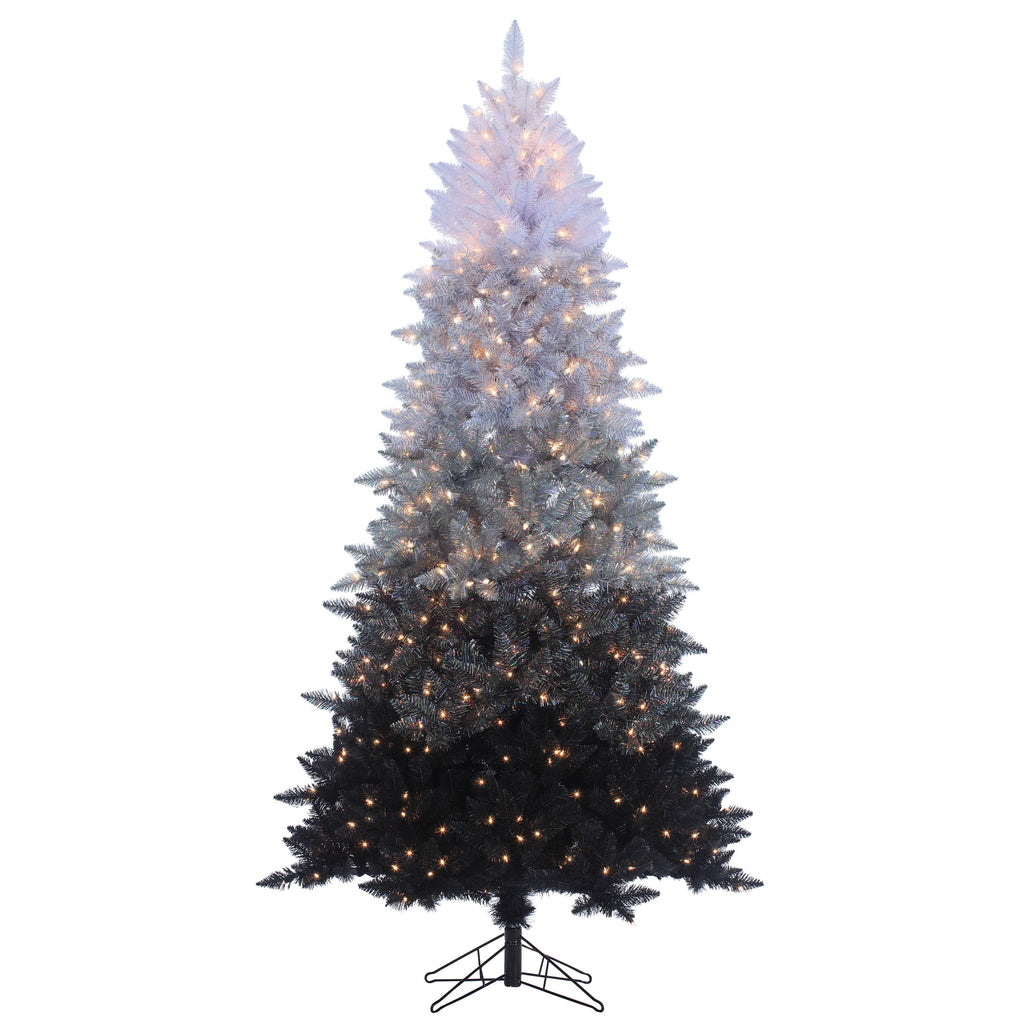 Sterling Clear Prelit Incandescent Black Spruce Christmas Trees, 7.55'