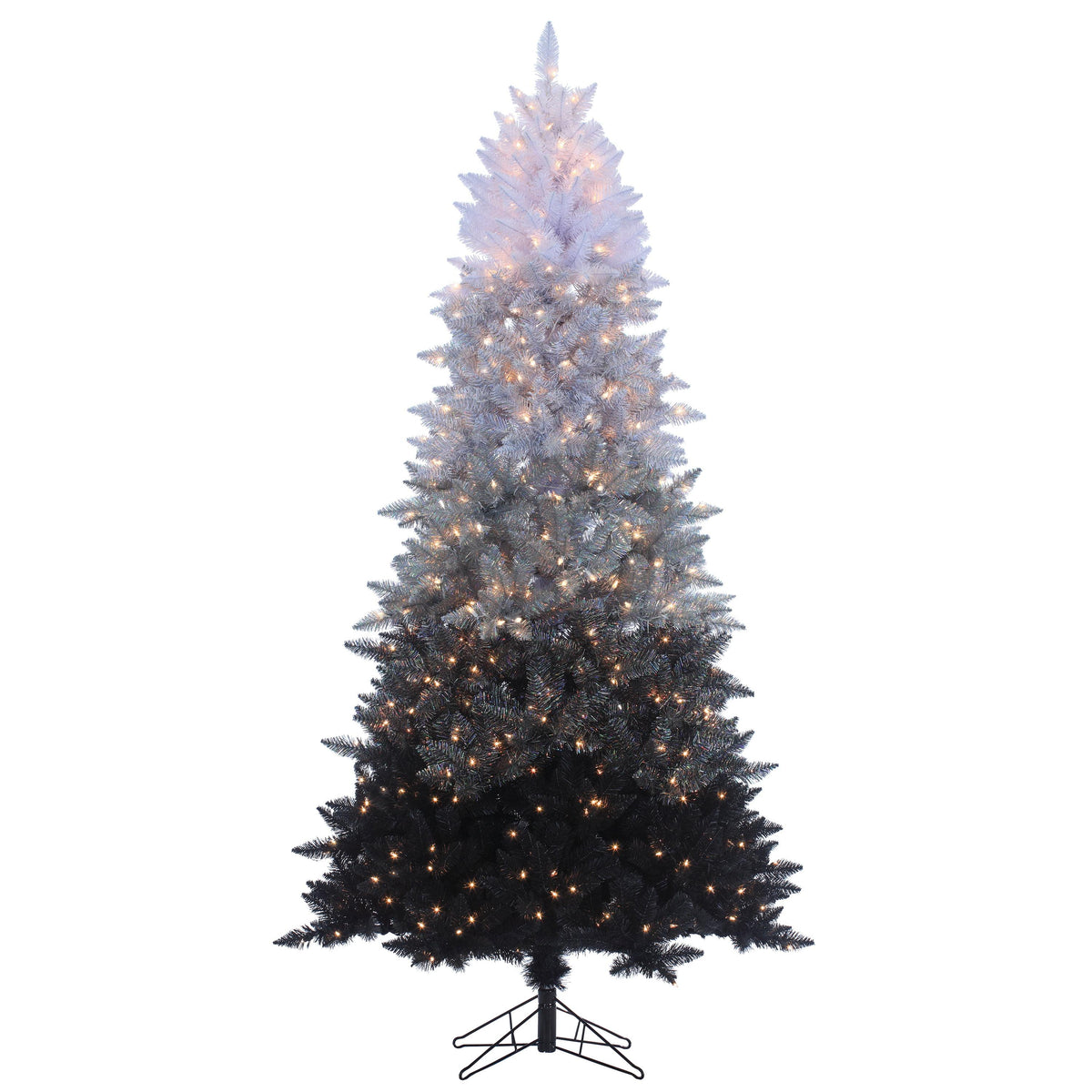 Sterling Clear Prelit Incandescent Black Spruce Christmas Trees, 7.55'