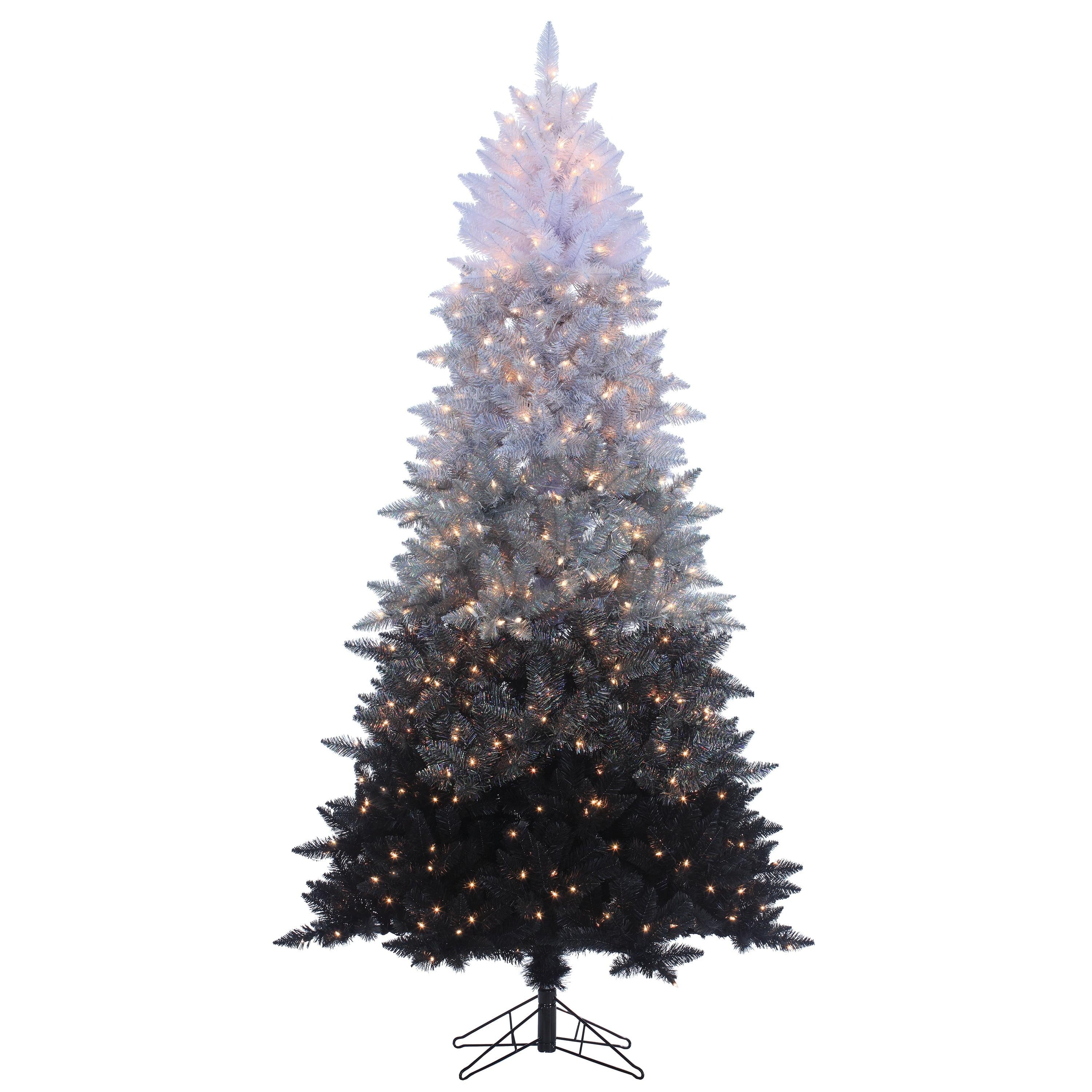 Sterling Clear Prelit Incandescent Black Spruce Christmas Trees, 7.55'