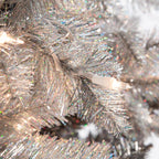 Sterling Clear Prelit Incandescent Black Spruce Christmas Trees, 7.55'