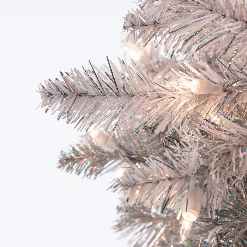 Sterling Clear Prelit Incandescent Black Spruce Christmas Trees, 7.55'