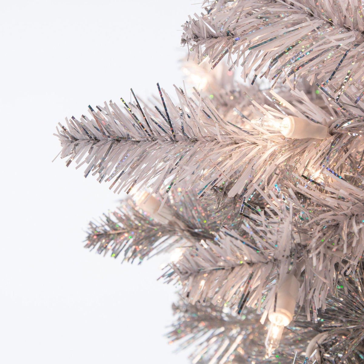 Sterling Clear Prelit Incandescent Black Spruce Christmas Trees, 7.55'
